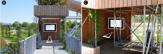 Comparing Public Dashboards in the Wild - An Observational Study of Urban Data Visualizations in an Outdoor Exhibition